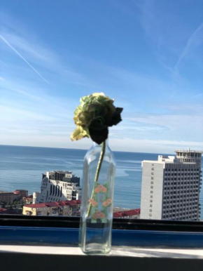 Cozy bright Apartment with amazing sea view, Batumi